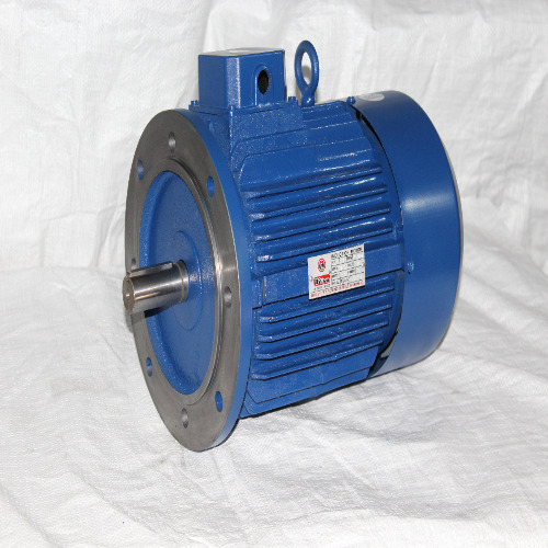 Flange Mounted Motor
