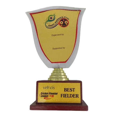 Acrylic Cricket Trophy - Size: 5-10 Inch