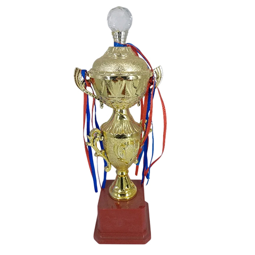 Winner Trophy Cup - Size: 15-20 Inch