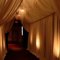 Mandap Carpets