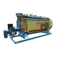 Ms Fire Tube Steam Boiler - Capacity: 5000 Kg/hr