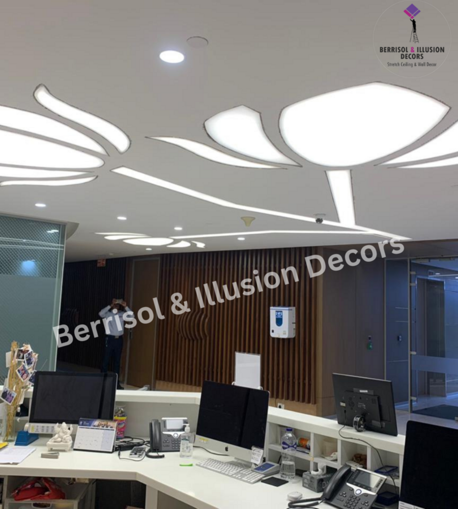 Sintex Stretch Ceilings - Pattern: Customize