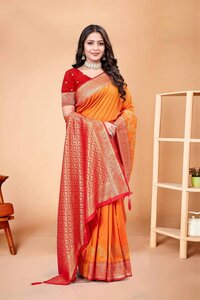 Parvati Multicolor Rapier Silk Saree -26058