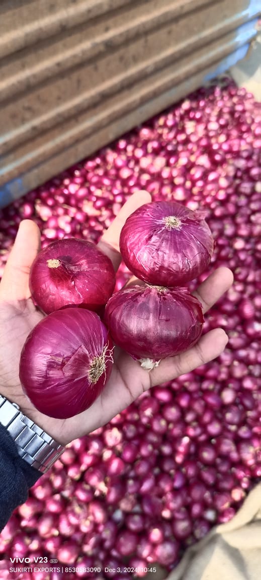 Fresh Onion - Cultivation Type: Common