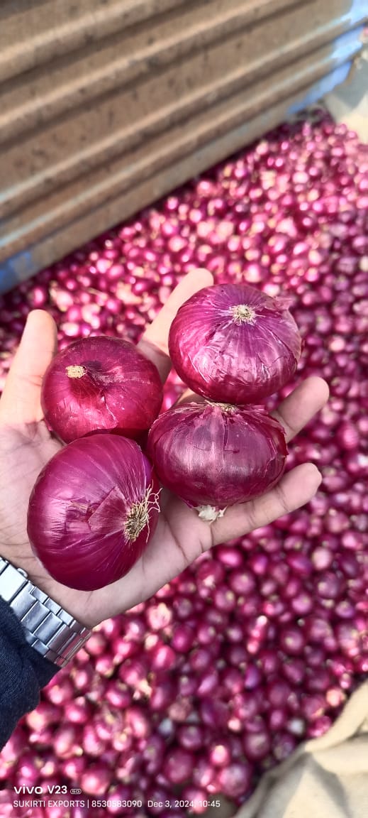 Fresh Onion