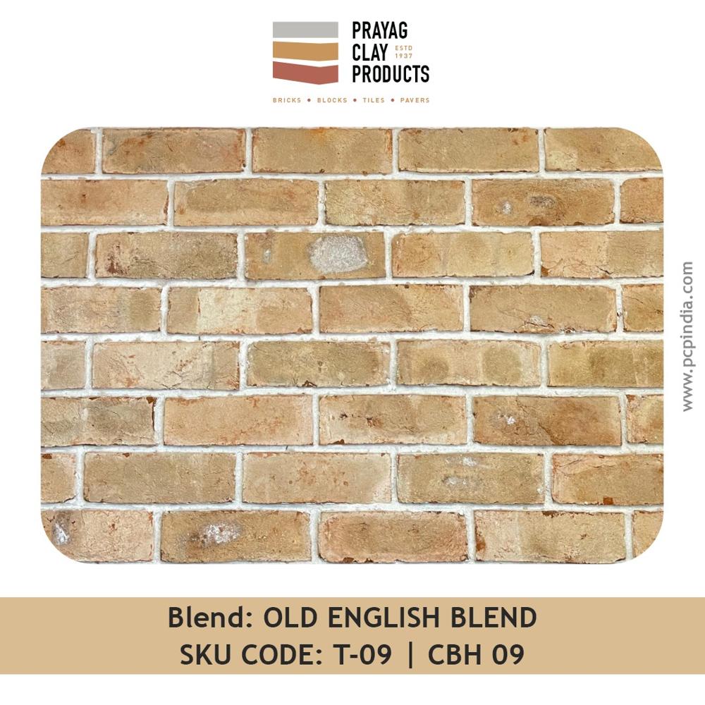 Old English Blend Bricks
