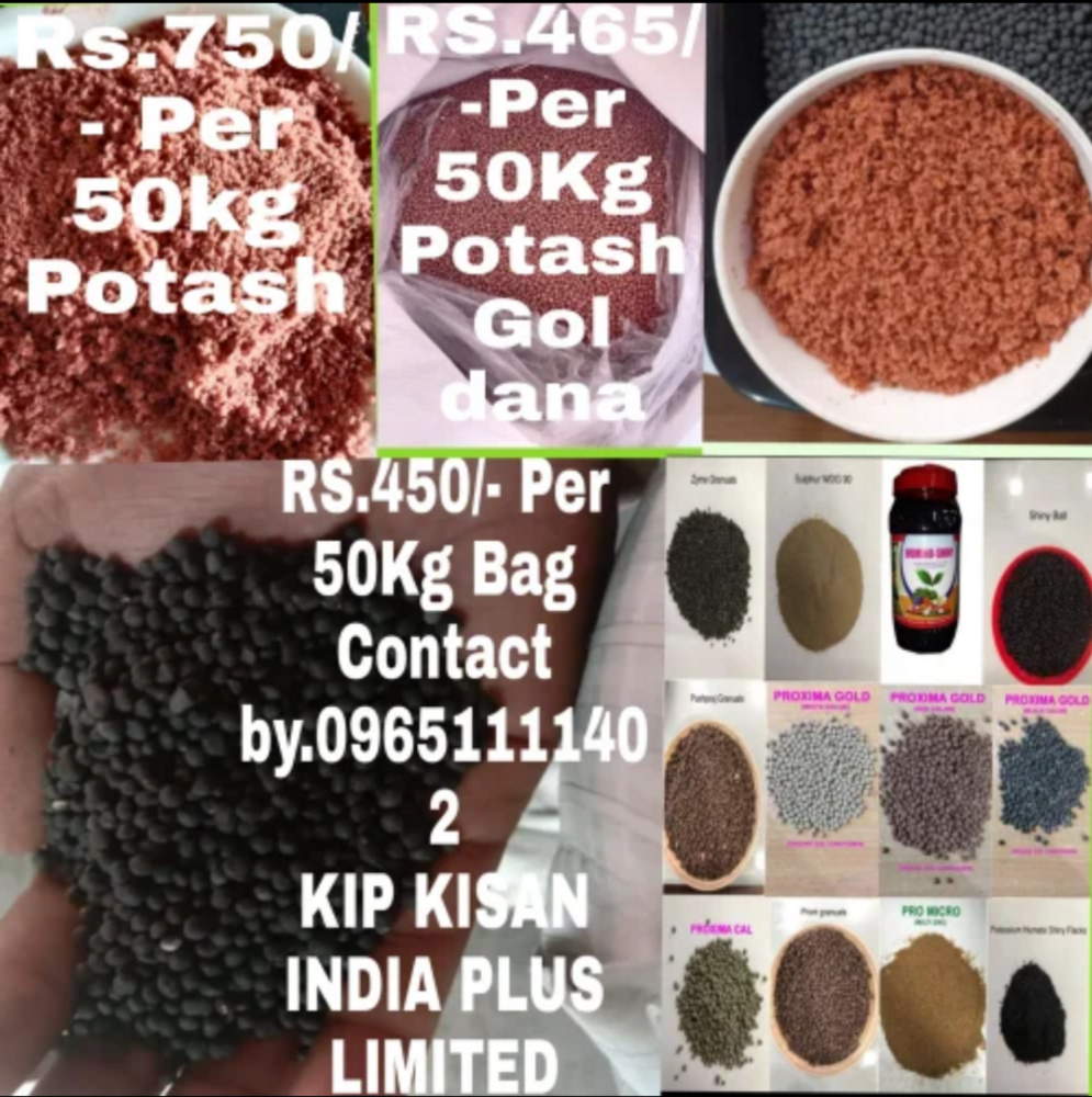 Bio Fertilizer - Purity(%): 97%