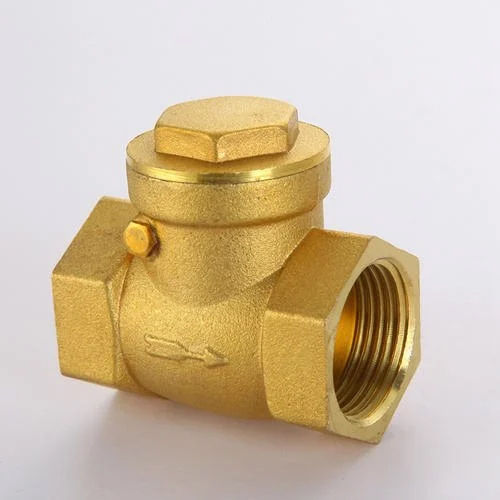 Brass Non Return Valve - Application: Air