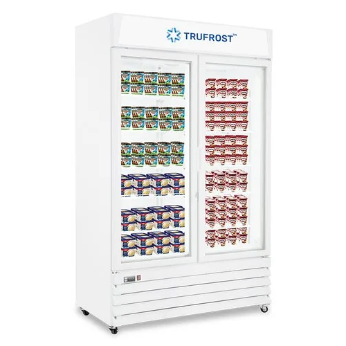 Two Door Upright Visi Freezer