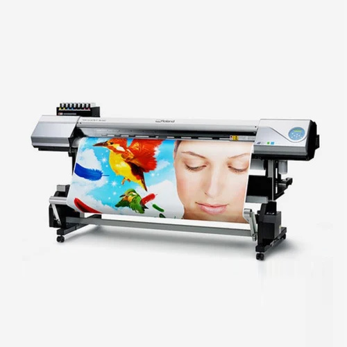 Eco Solvent Vinyl Printing Machine - Automatic Grade: Automatic