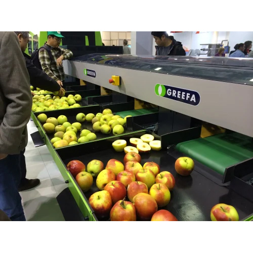 Greefa Sorting & Grading System - Feature: High Efficiency