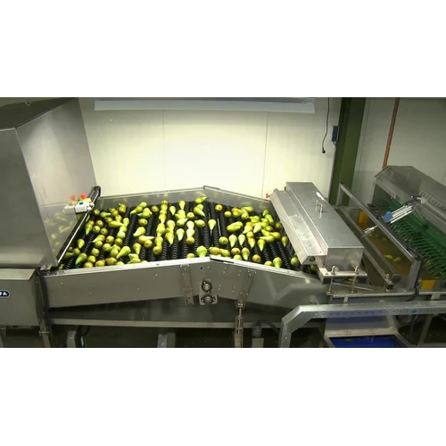 Greefa Sorting & Grading System - Feature: High Efficiency