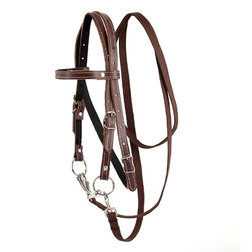 Horse Bridle