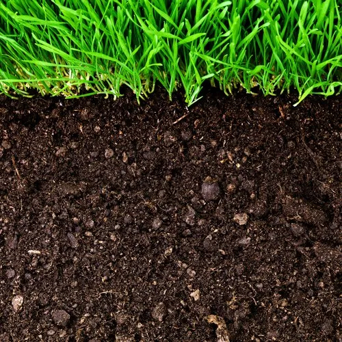 Micronutrients In Soil - Application: Agriculture