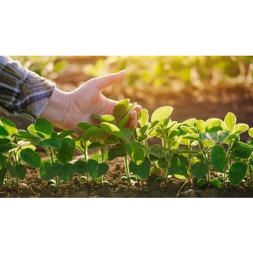 Micronutrients For Plant - Application: Agriculture