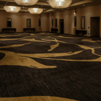 Banquet Hall Carpets