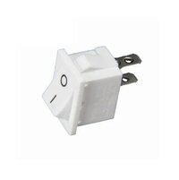RS 12 WHITE 2 PIN