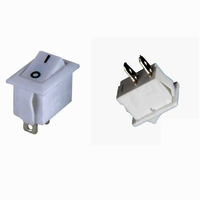 RS 12 WHITE 2 PIN