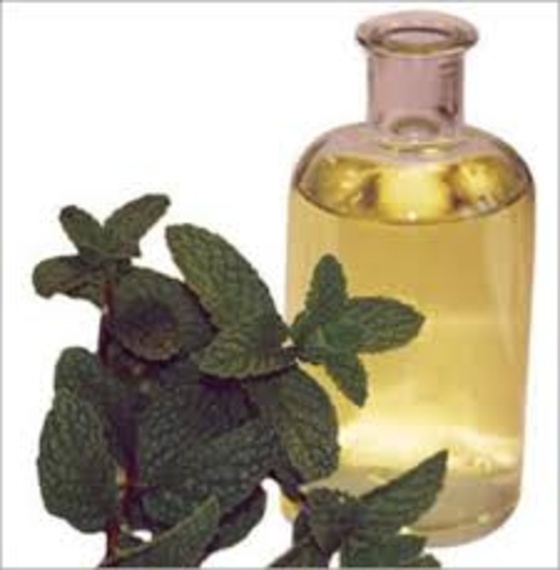 Peppermint Oil