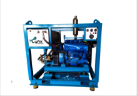 Triplex Piston Plunger Pump