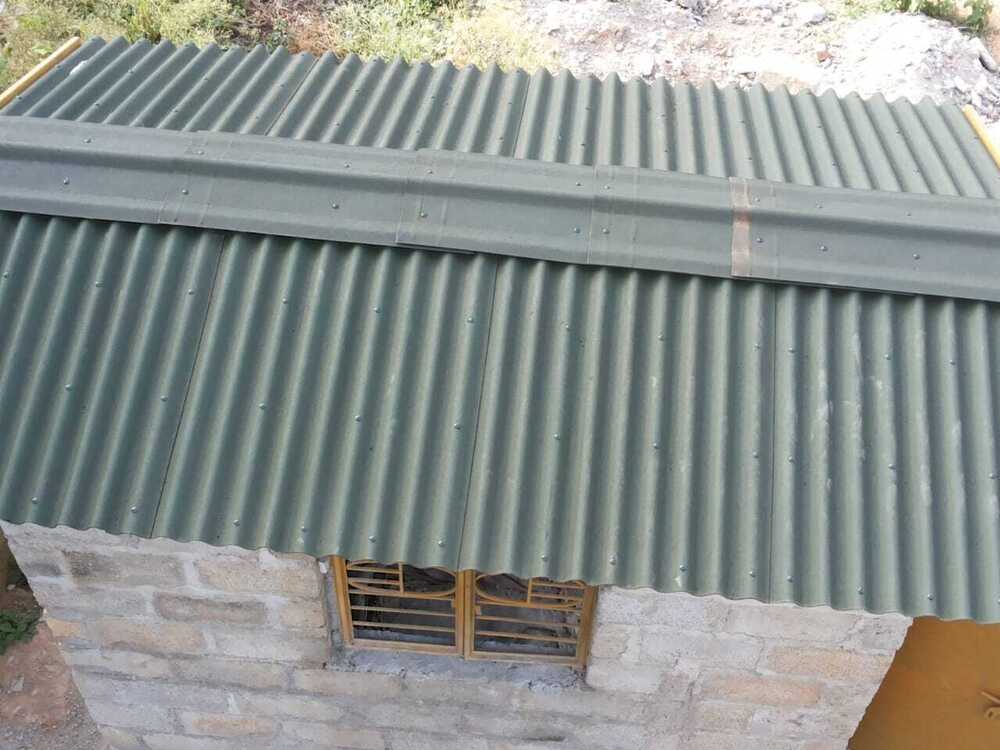 Poultry Shed