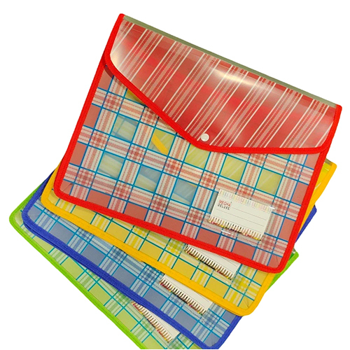 Multicolor My Clear Bag - Durable Plastic, Letter-Sized Rectangular Folder , Printed Design for Organized Document Storage