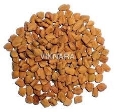 ज़मीनी मेथी