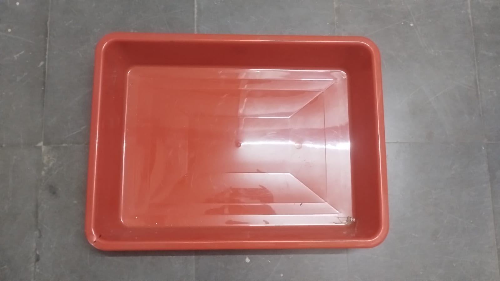 Plastic Tub - Polypropylene, 5 Litre, Blue | Versatile For Laboratory Usage, Durable And Impact-resistant, Ideal For Storage And Organization