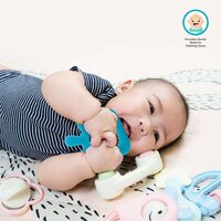 Silicone Baby Teether Packs