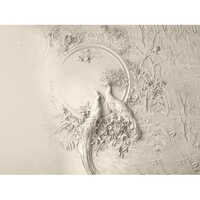 Decorative Peacock Shaped Wall Murals - Eco-friendly Frp Material, Polished Finish, Intricate Modern Arts Design, Available In Various Colors