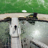 Rain Save Water Harvesting