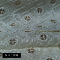 Luxurious Schfilli Embroidery Fabric  Perfect for Wedding & Occasion Wear