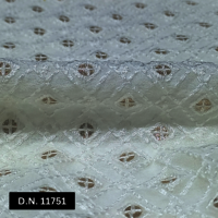 Luxurious Schfilli Embroidery Fabric  Perfect for Wedding & Occasion Wear