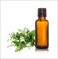 Cypress Essential Oil - Distilled From Leaves & Twigs, Fresh Woody Aroma For Mind & Body Calming, Ideal For Skin & Muscle Toning