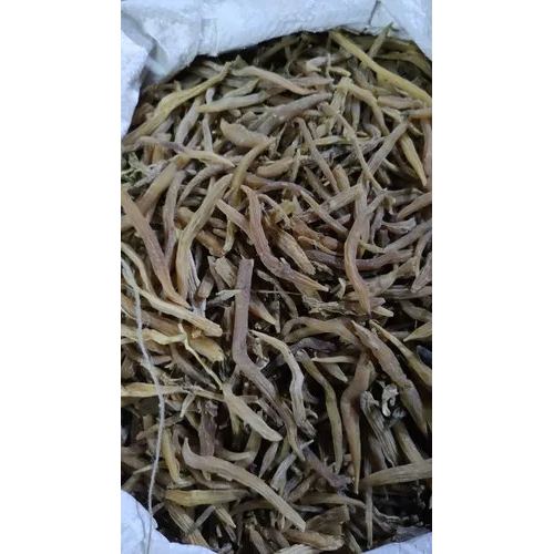 प्राकृतिक शतावरी जड़