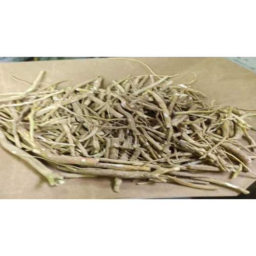 Organic Ashwagandha Root - 25 Kg, 100% Pure Brown Roots | Suitable for All Age Groups, Customizable Packaging, Multiple Consumption Forms