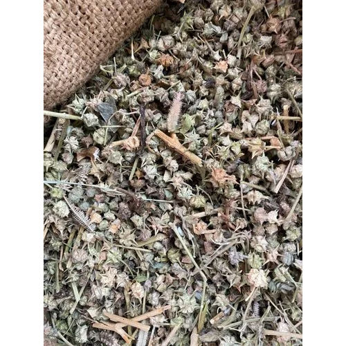 Dry Gokhru Seed - Color: Green