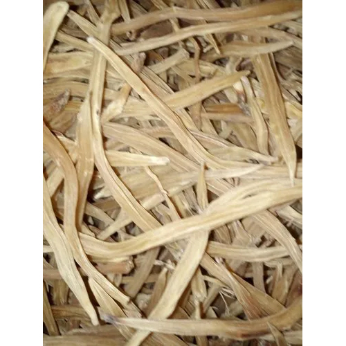 Dry Shatavari Root - Brown Roots, Customized Packaging 50 Kg | Suitable for All Age Groups, Room Temperature Storage