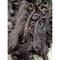 Ratan Jot - Grade: A Grade