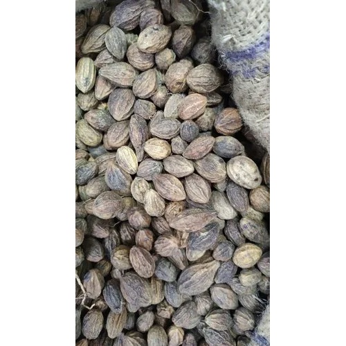 Natural Haritaki Fruit - A-Grade Herb Extract, Nutrient-Rich Seeds for Digestive Health and Immune Support, Anti-Inflammatory and Antioxidant Properties