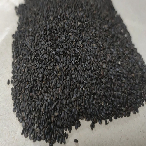 Organic Sabja Seeds - Color: Black