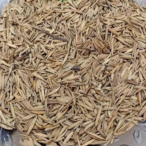 Brown Natural Indrajau