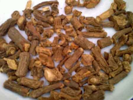 हेमीडेसमस इंडिकस