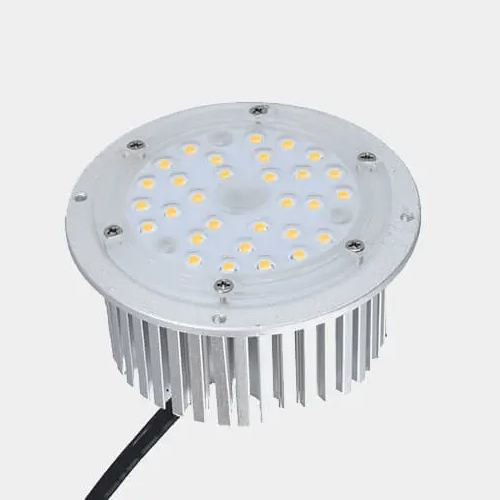 30W Round Led Module Street Light - Color: Silver