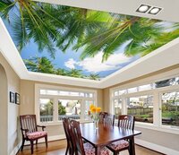 Earth And Sky Stretch Ceiling Service