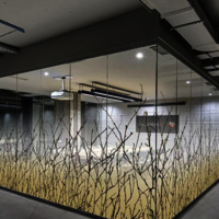 Decorative Glass Film