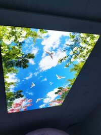 Earth And Sky Stretch Ceiling Service