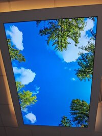 Royal Stretch Ceiling Service