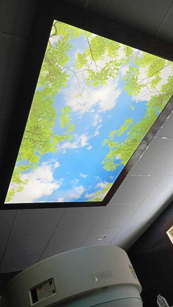 Royal Stretch Ceiling Service