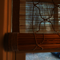 Bamboo chick Blinds